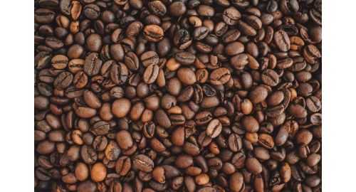 The Benefits of Buying Freshly Roasted Coffee Beans Online
