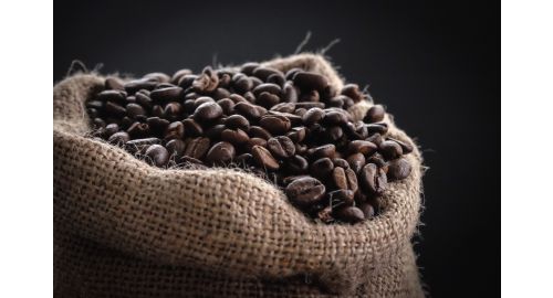 The Ultimate Guide to Different Types of Coffee Beans